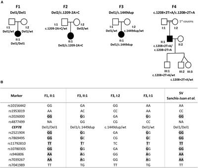 Long-Read Sequencing to Unravel Complex Structural Variants of CEP78 Leading to Cone-Rod Dystrophy and Hearing Loss